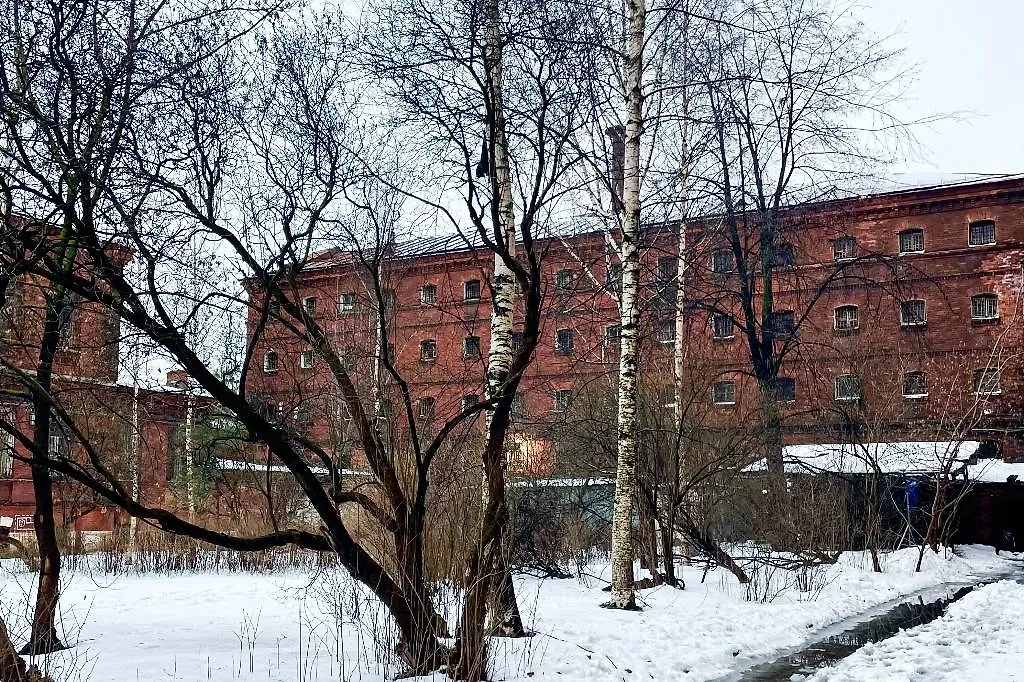 Вид на здание бывшего следственного изолятора №1 «Кресты». Фото © Алена Каражас/ТАСС 