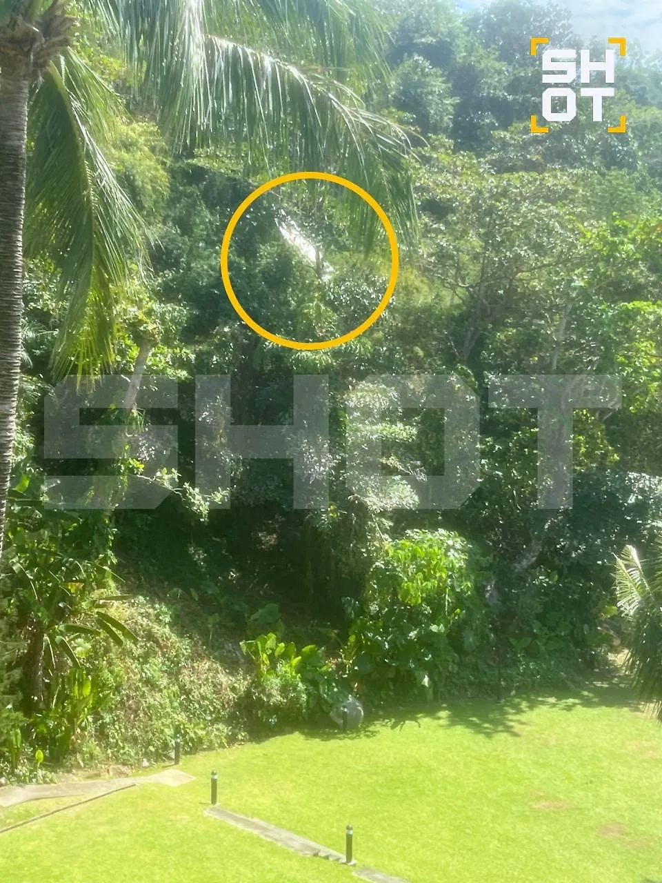 Туристический автобус слетел с дороги и застрял на горе в Таиланде. Фото © Telegram / SHOT