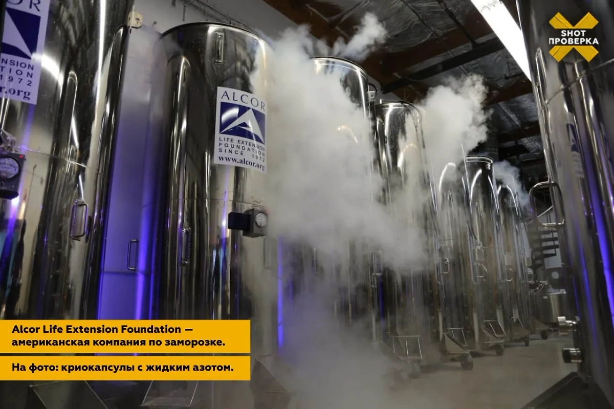 Криокапсулы с жидким азотом. Фото © Telegram / SHOT ПРОВЕРКА