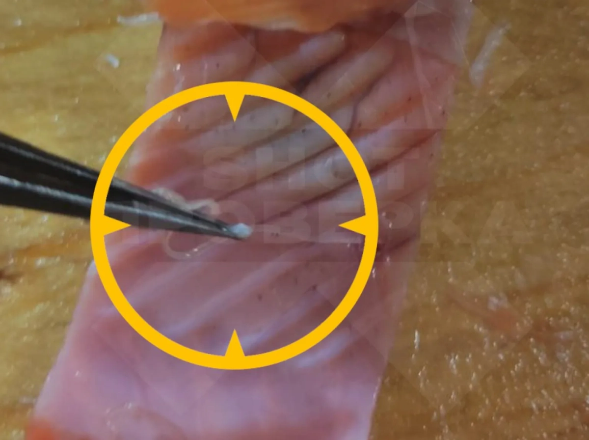 Фото © SHOT ПРОВЕРКА