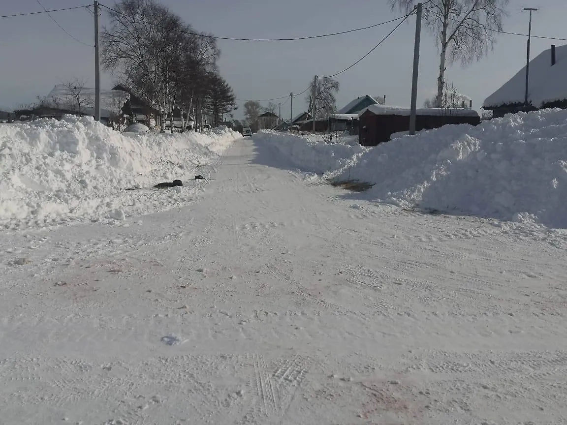 Место, где бродячие собаки напали на 10-летнюю девочку. Обложка © Telegram / Прокуратура Хабаровского края