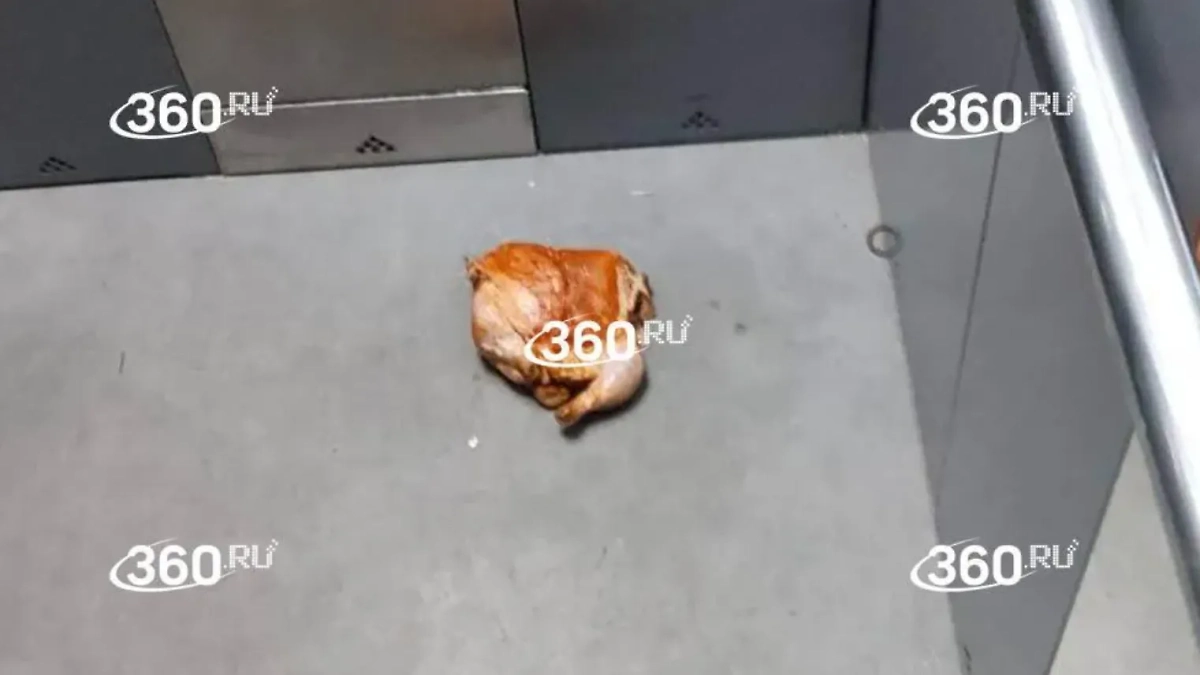 Та самая курица с гвоздями. Фото © 360.ru