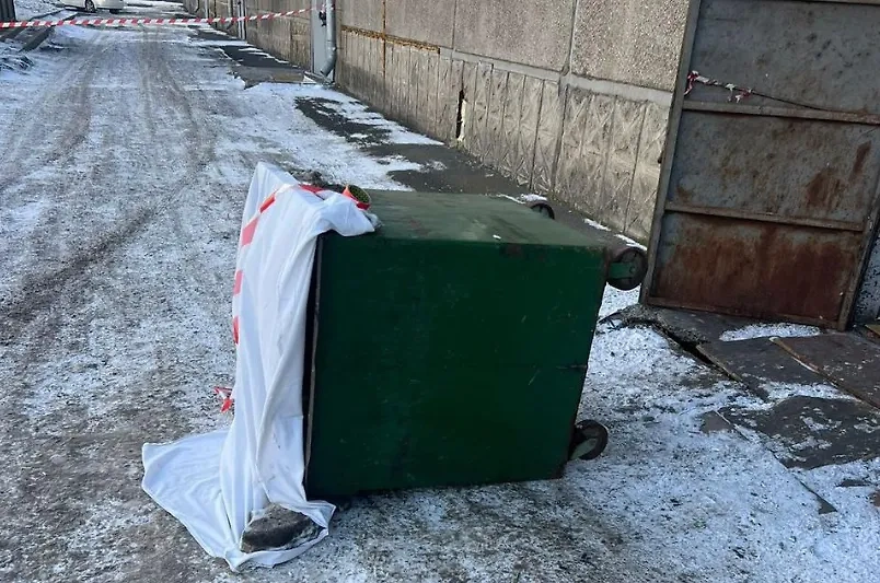 Мусорный бак, куда выбросили ребёнка. Обложка © Telegram / ГСУ СК России по Красноярскому краю и Республике Хакасия