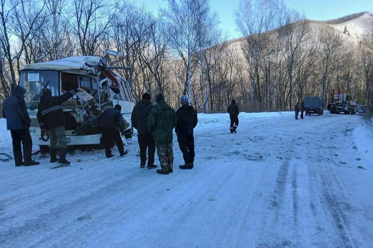 Последствия ДТП с автобусом и лесовозом в Приморье. Обложка © Telegram / Чугуевский муниципальный округ