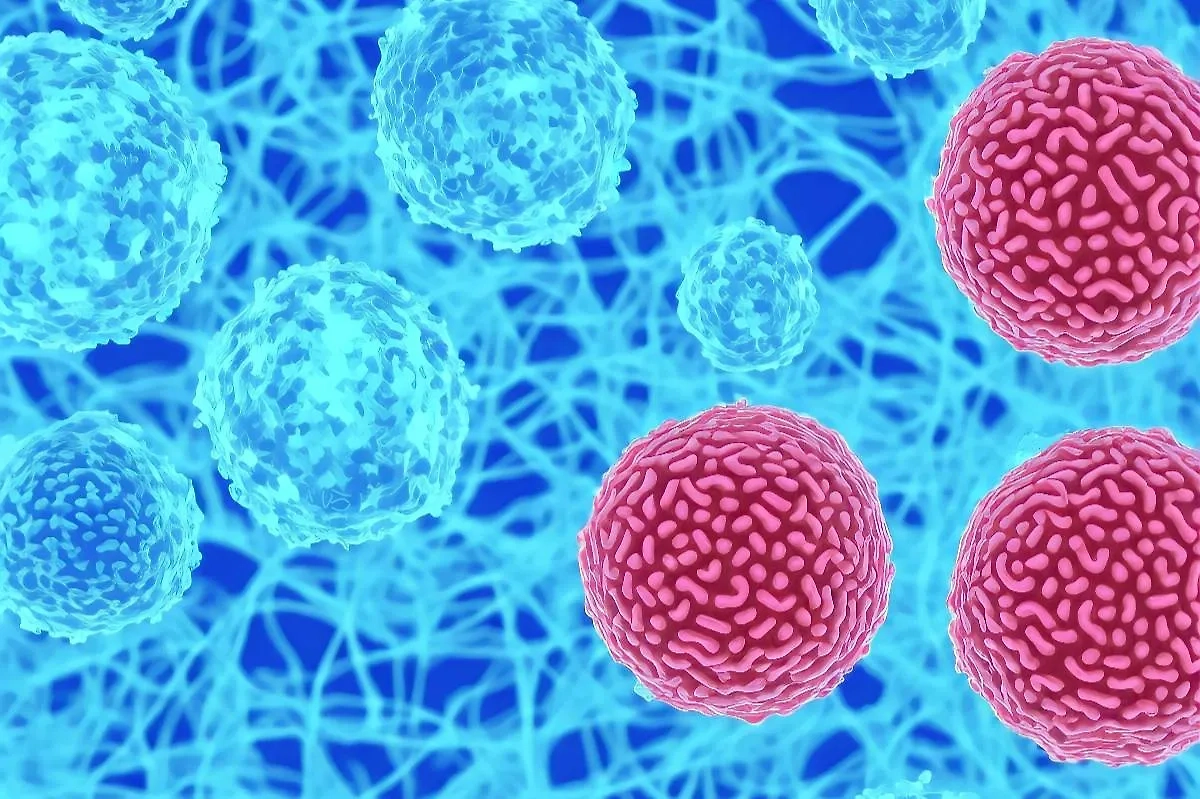 Фото © Shutterstock / FOTODOM / Adansijav Official