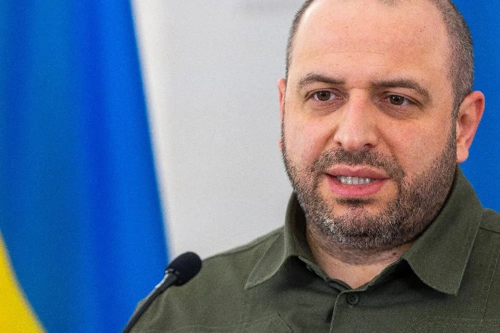 Рустем Умеров. Обложка © ТАСС / AP / Mindaugas Kulbis