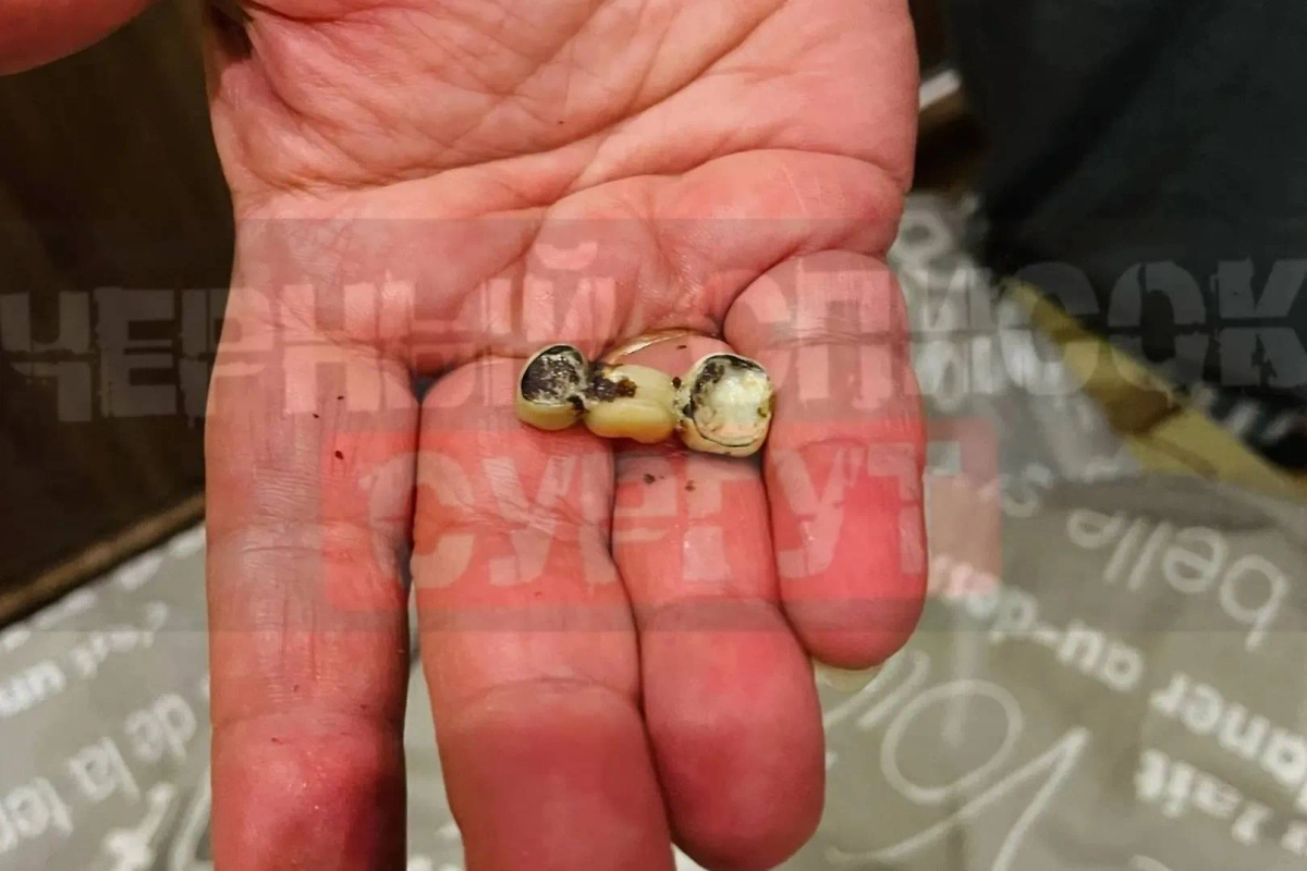 Жительница Сургута нашла в торте «Прага» зубной протез. Фото © VK / «Черный список Сургут | Отзывы».