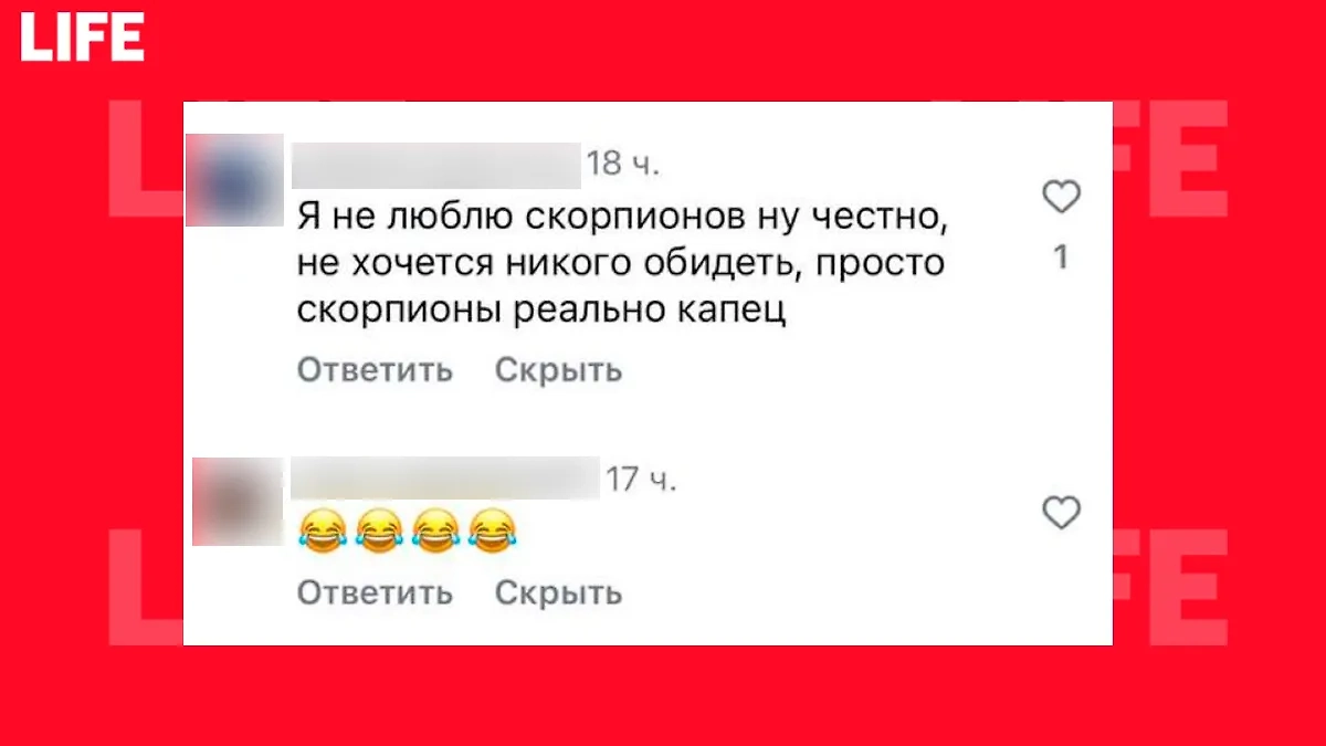 Изображение © Life.ru