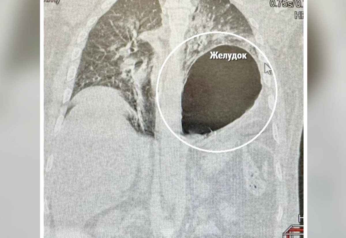 Фото © Министерство здравоохранения Московской области