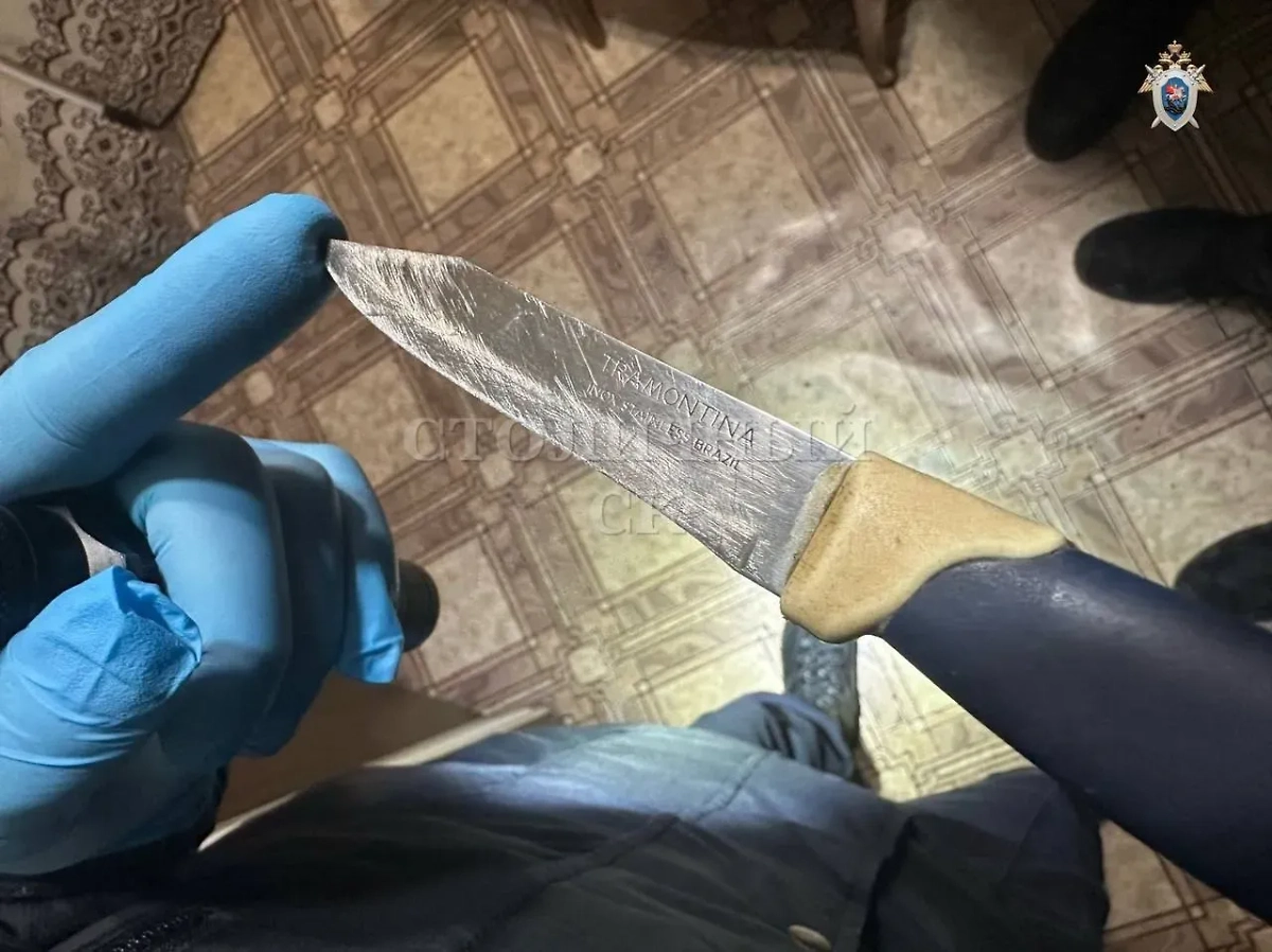 Орудие убийства. Фото © Telegram / Столичный СК