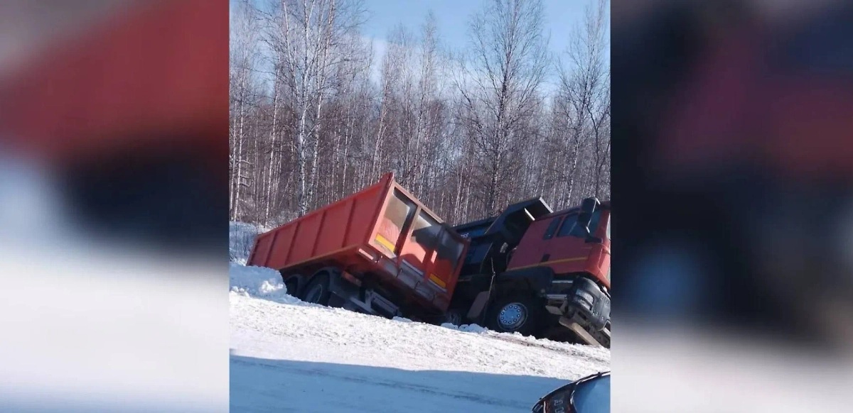 Место ДТП в Омской области. Обложка © Telegram / Омская полиция