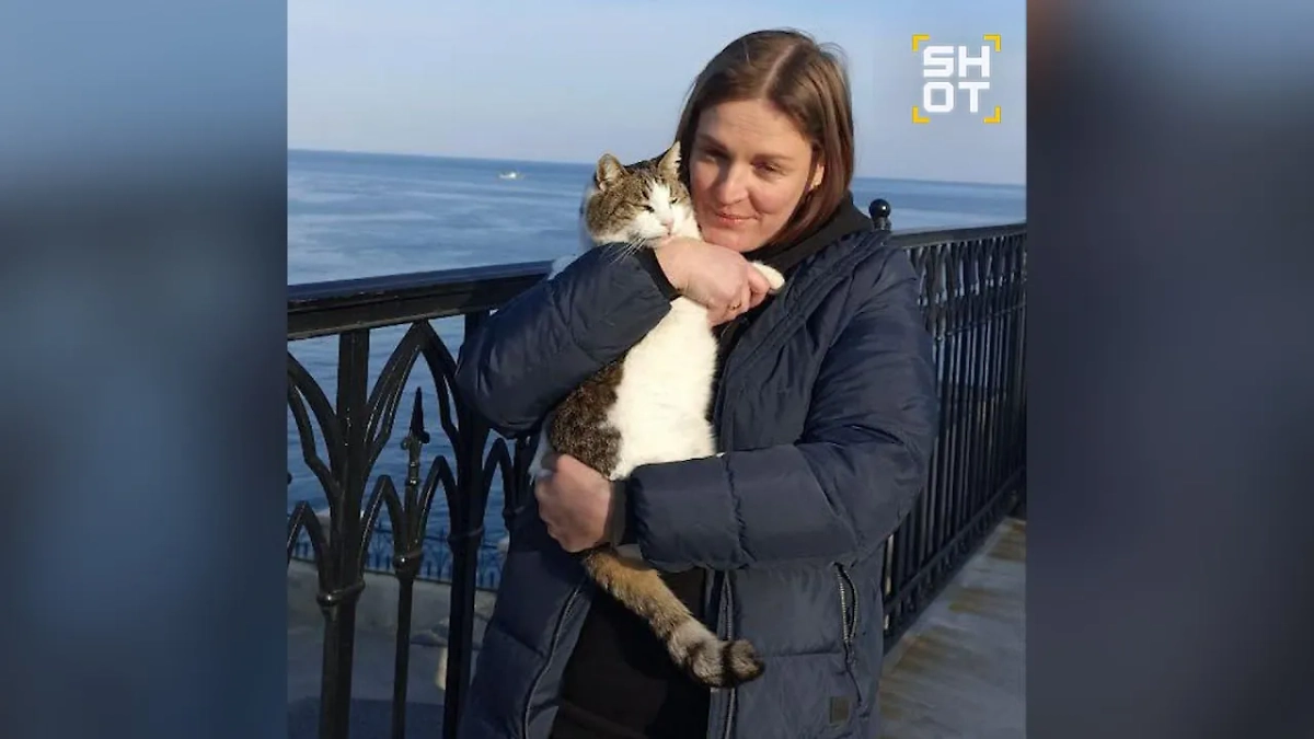 Кошка Муся на руках у волонтёра. Фото © Telegram / SHOT