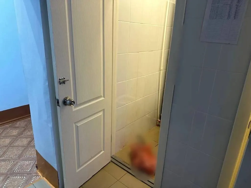 Погибший младенец. Обложка © пресс-служба прокуратуры Красноярского края