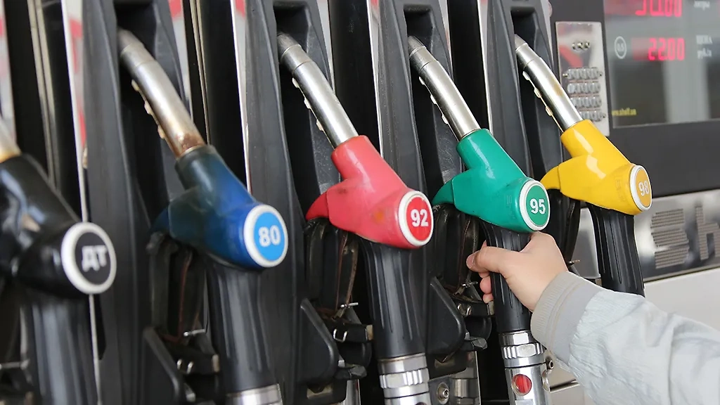 Запрет на экспорт бензина будет действовать с 1 марта по 31 августа. Обложка © ТАСС / Елена Афонина
