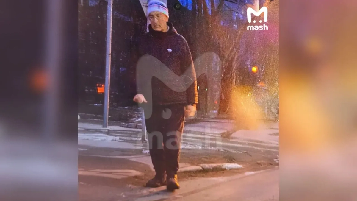 Народный артист России на месте ДТП, в котором он сбил пенсионерку. Фото © Telegram / Mash