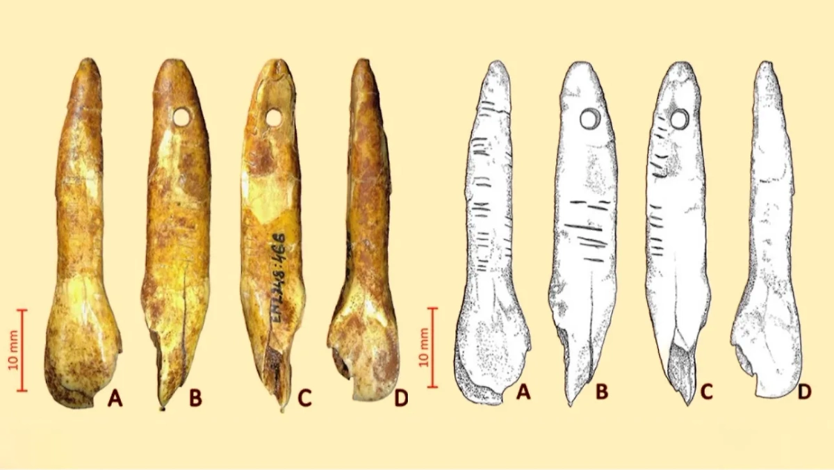Гравированная подвеска в виде зуба, изготовленная из резца евразийского лося. Обложка © Cambridge University Press