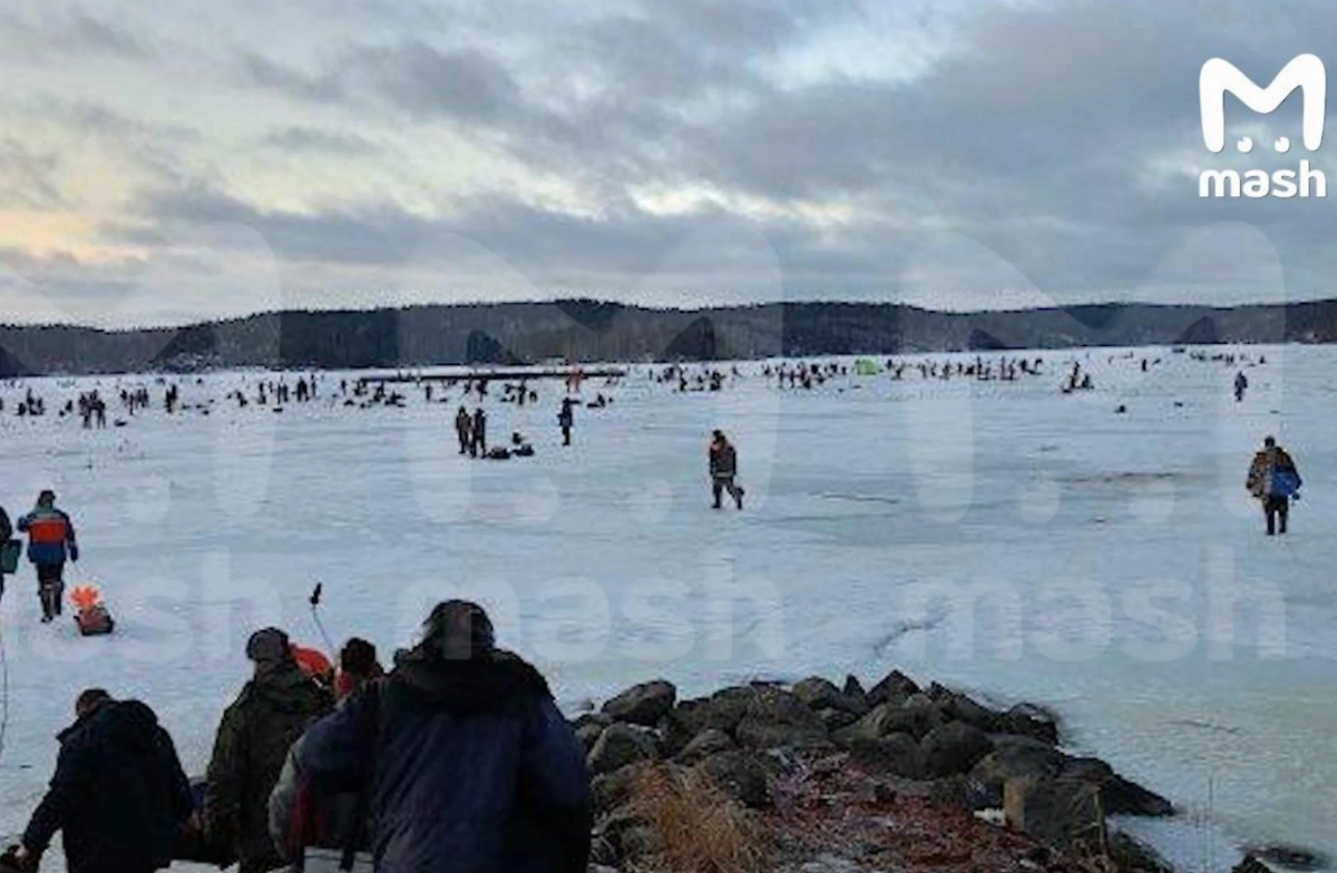 В Карелии форель «сбежала» из рыбного хозяйства. Фото © Telegram / Mash