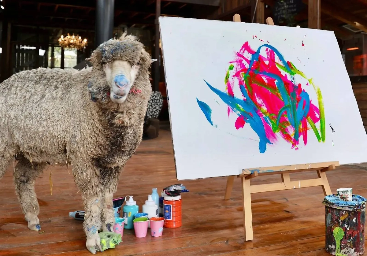 Овца-художница Беенкси. Обложка © Х / Faizel Patel