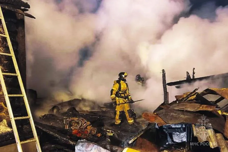 Пожар в посёлке Винзили ликвидировали. Обложка © Telegram / МЧС Тюменской области