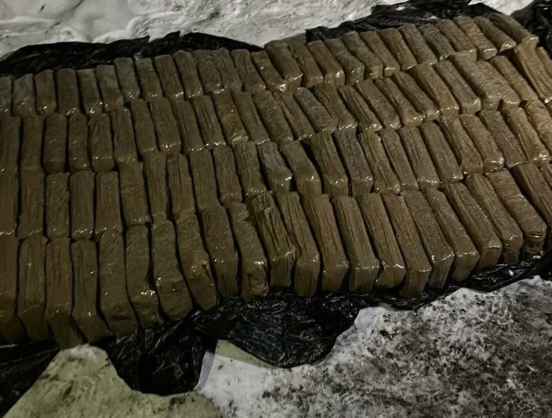 Таможенники РФ задержали партию гашиша. Обложка © ФТС РФ