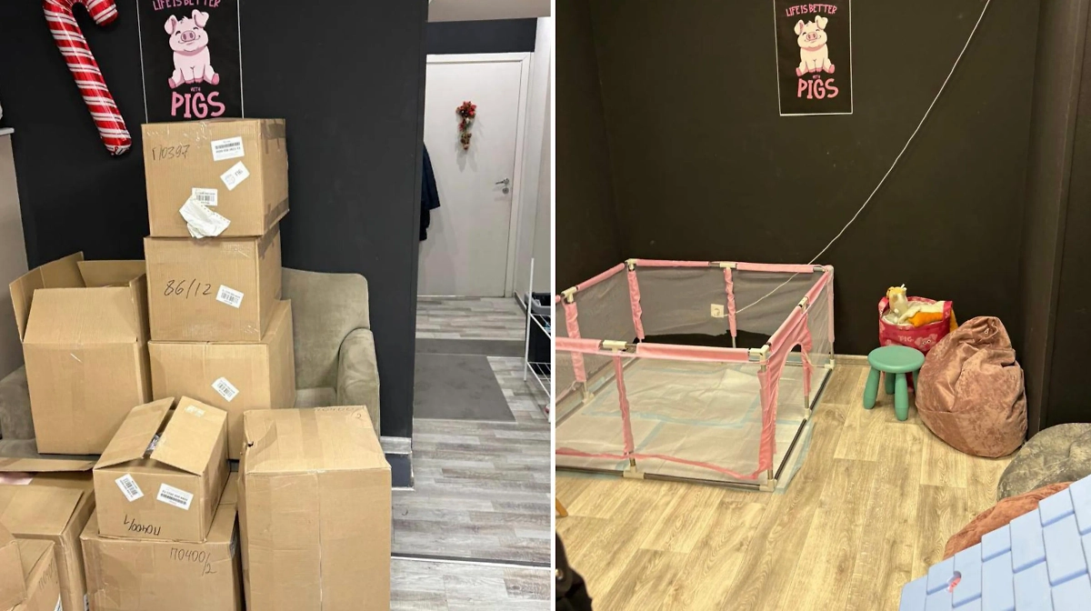 Прокуратура Москвы провела проверку в столичном антикафе с минипигами. Фото © Telegram / Прокуратура Москвы