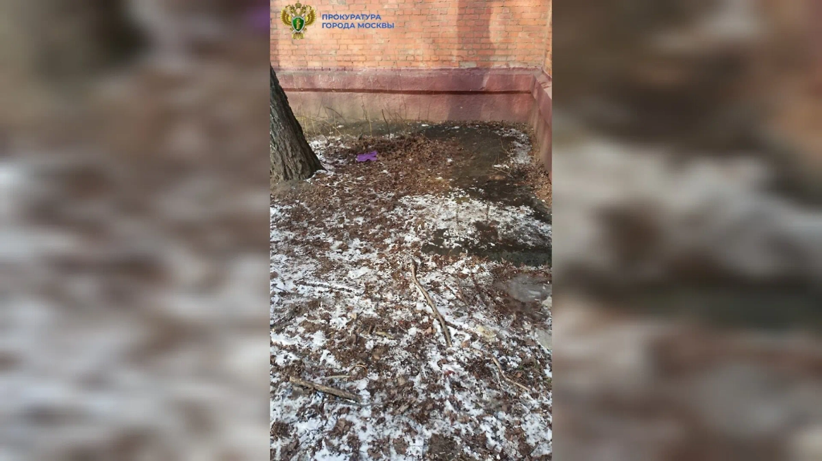 Место падения. Фото Telegram / Прокуратура Москвы