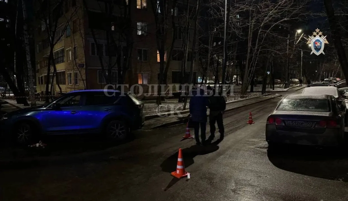 Работа правоохранителей на месте стрельбы на западе Москвы. Обложка © Telegram / Столичный СК