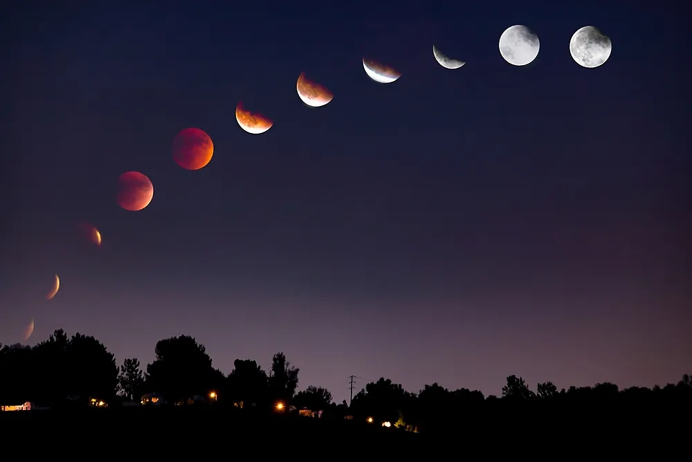 Полнолуние будет 12 февраля, а новолуние — 28-го. Это важно для лунного календаря огородника. Фото © Shutterstock / FOTODOM / Sharon Ball