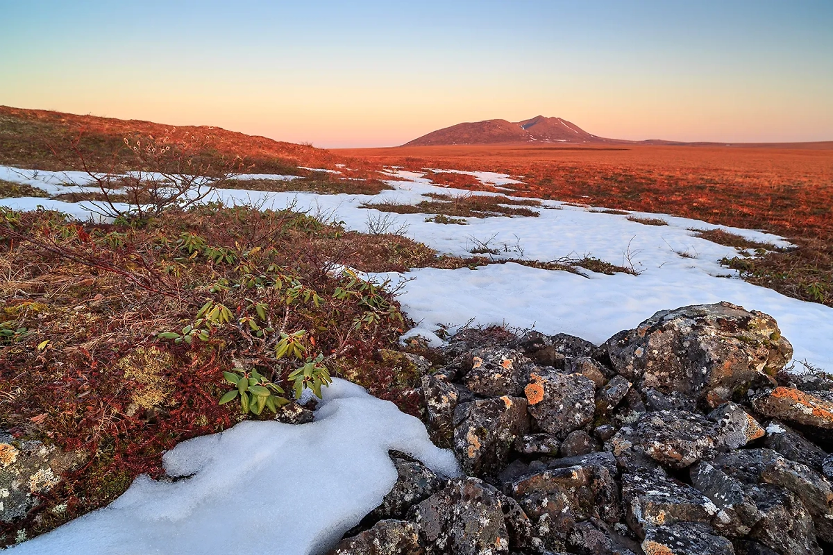 Необычная для российской зимы погода в европейской части страны ещё не раз установится в ближайшие годы. Обложка © Shutterstock / FOTODOM / Andrei Stepanov