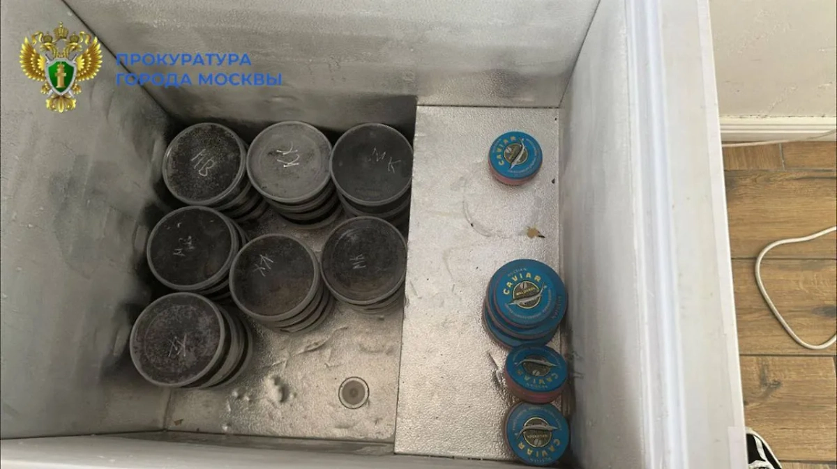 Чёрная икра. Обложка © Telegram / Прокуратура Москвы 