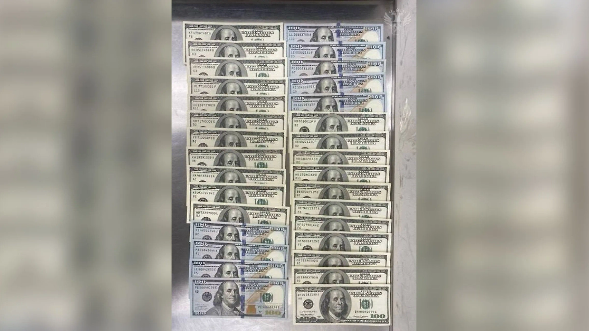 Наличные, изъятые у украинца. Обложка © Telegram / ФТС России