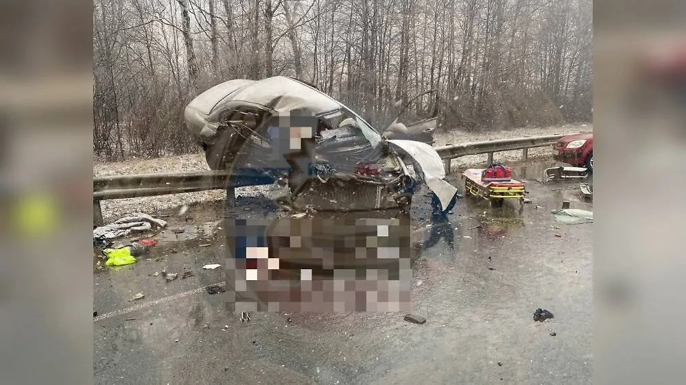 Кадр с места смертельного ДТП. Фото © Telegram / Госавтоинспекция Рязанской области