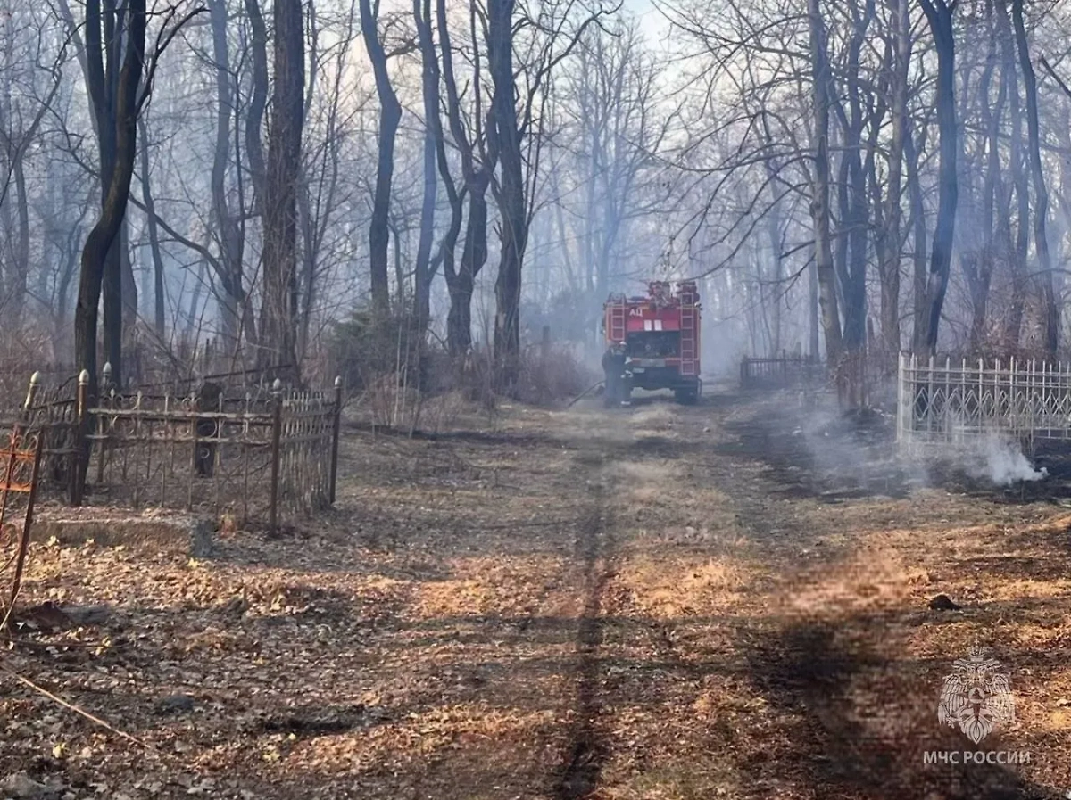 Пожар на кладбище во Владикавказе. Фото © Telegram / МЧС Северной Осетии