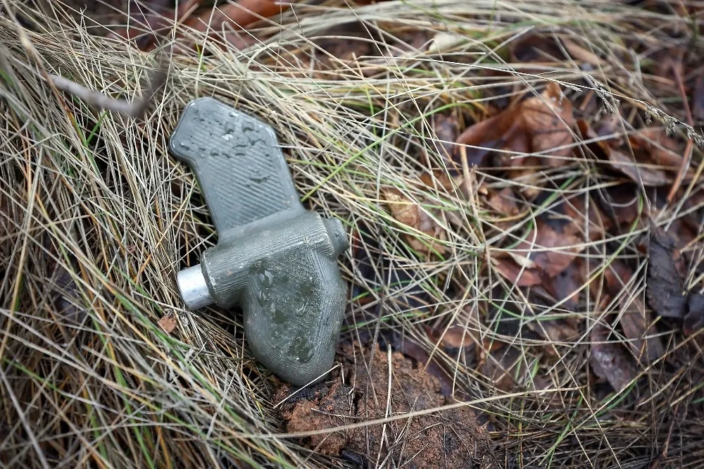 Мина «Лепесток». Обложка © ТАСС / Александр Река/