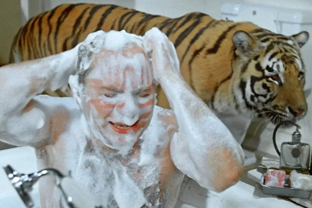 Евгений Леонов боялся, но он не трус: может, тигра и боялся, но стекла не было. Фото © Кадр из фильма  «Полосатый рейс», режиссёр Владимир Фетин / Kinopoisk