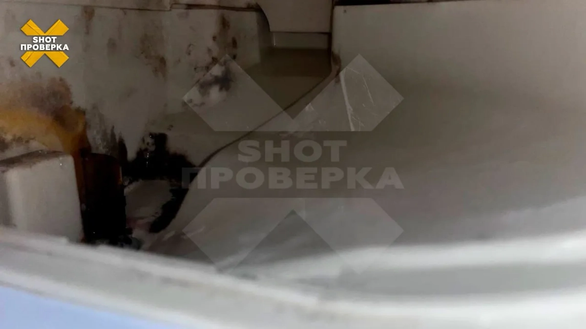 Чёрная плесень в стиральной машине москвички. Фото © SHOT ПРОВЕРКА