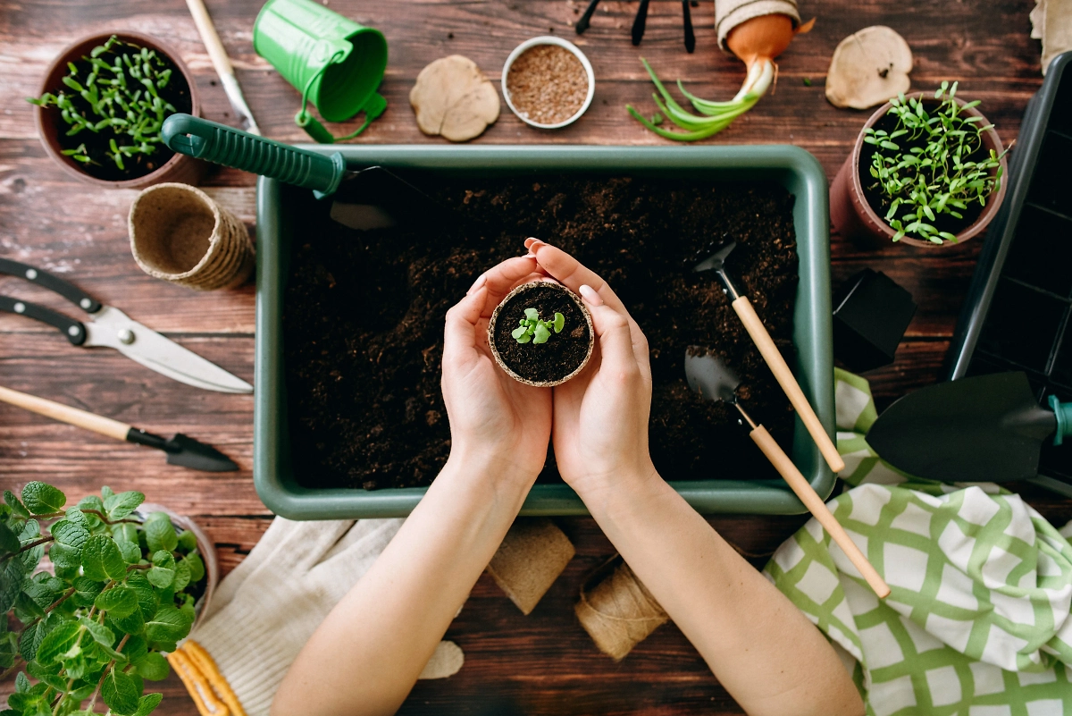 Обложка © Shutterstock / FOTODOM / bondart  