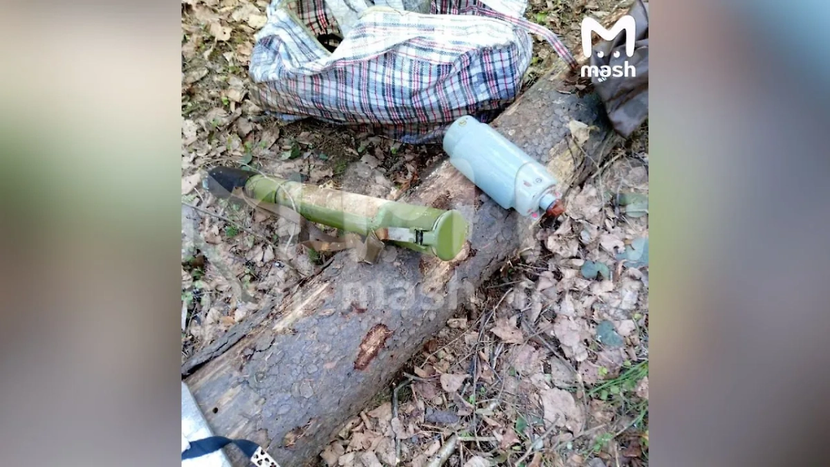 Тайник, найденный в лесу Подмосковья. Фото © Telegram / Mash