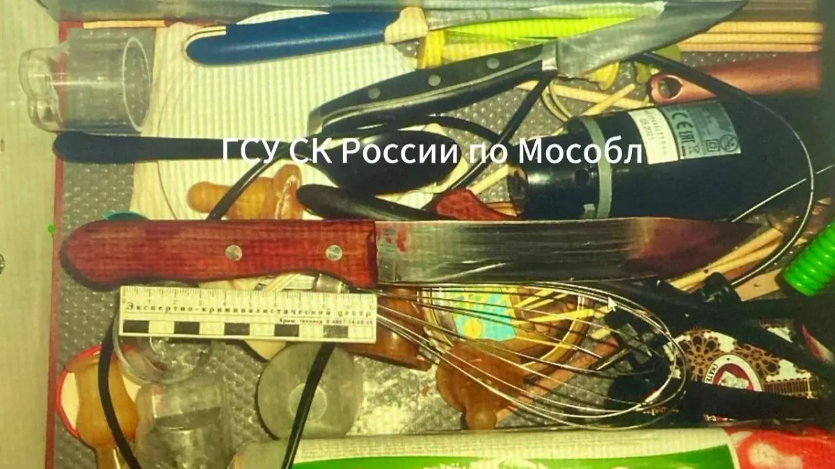 Орудие убийства. Фото © Telegram / ГСУ СК России по Московской области