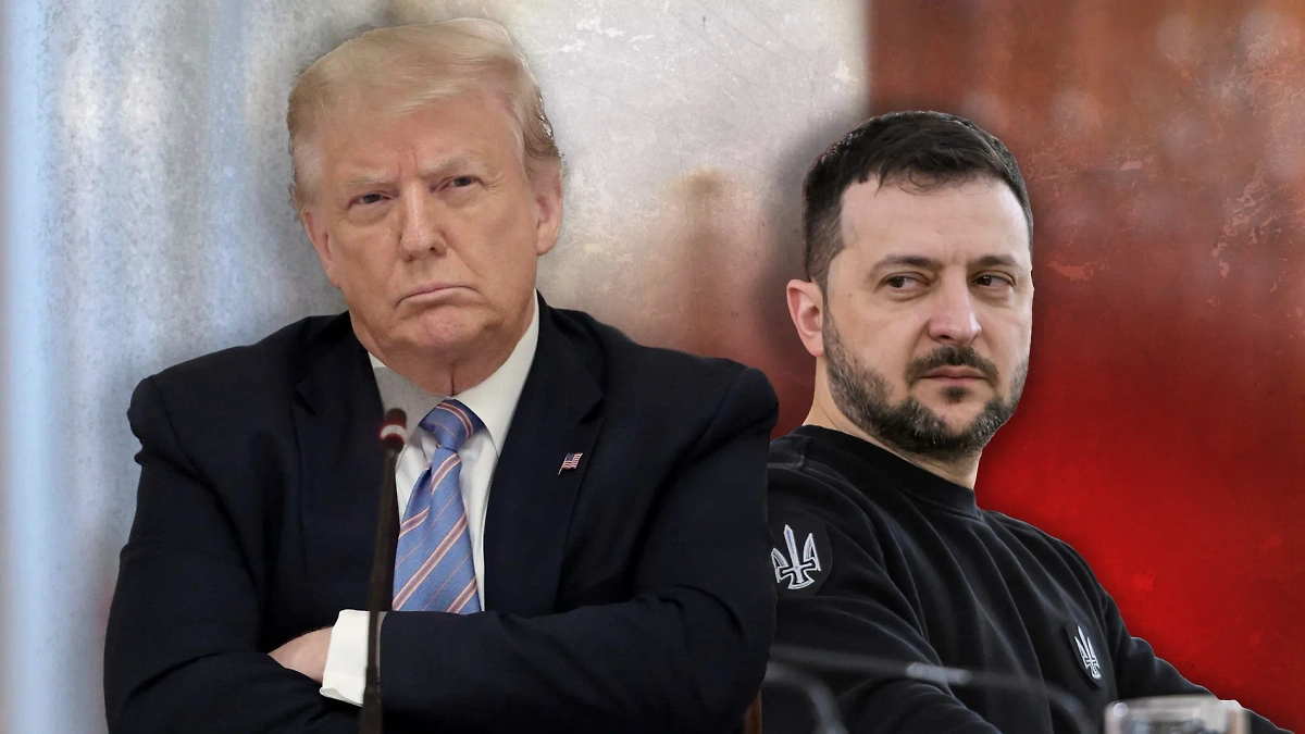 Глава киевского режима Владимир Зеленский не собирается соблюдать мирные договорённости. Коллаж © Life.ru. Фото © Shutterstock / FOTODOM / Chip Somodevilla, paparazzza