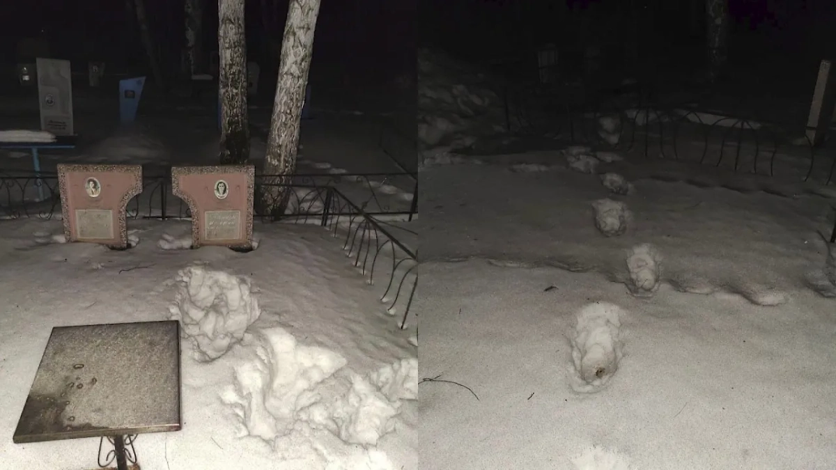 Пропавшая школьница из Ачинска сама записала видео на кладбище, где извиняется перед «Дядей Юрой». Фото © ГСУ СК России по Красноярскому краю и Республике Хакасия