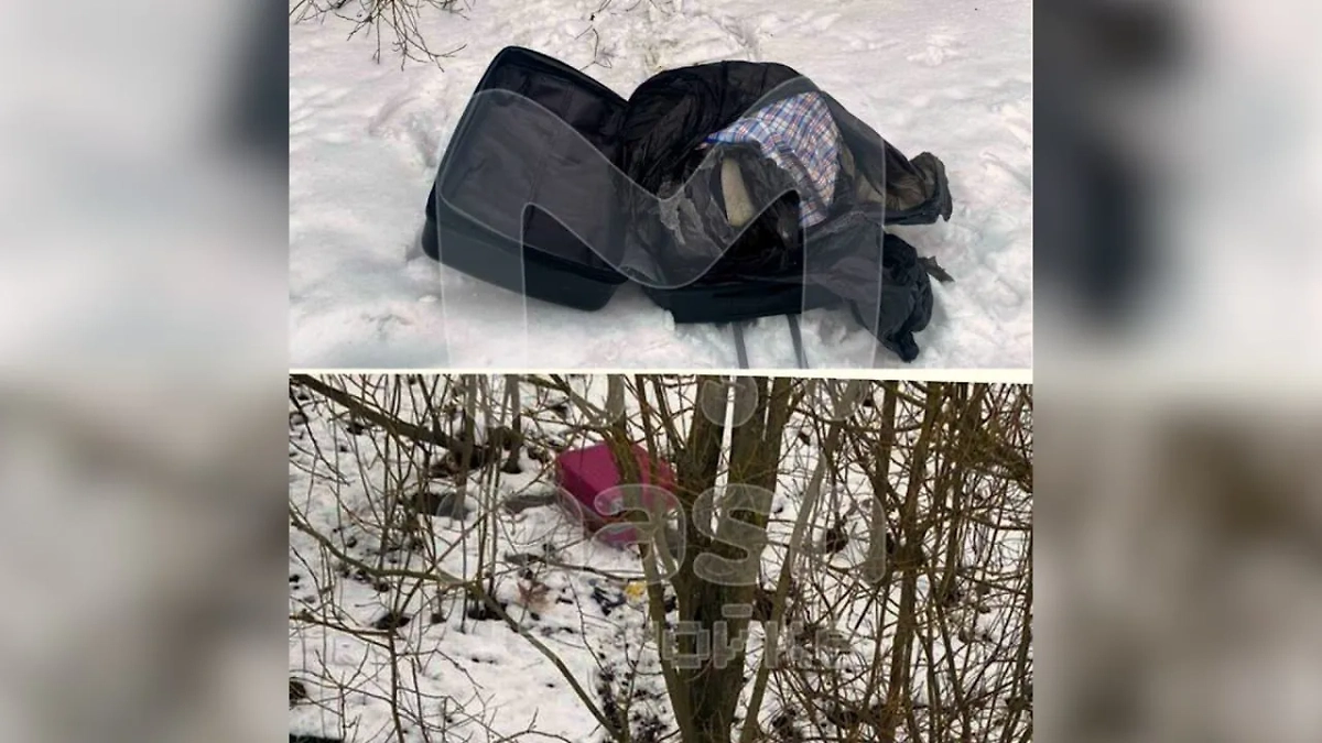 Чемодан с трупом в Петербурге. Фото © Telegram /  Mash на Мойке