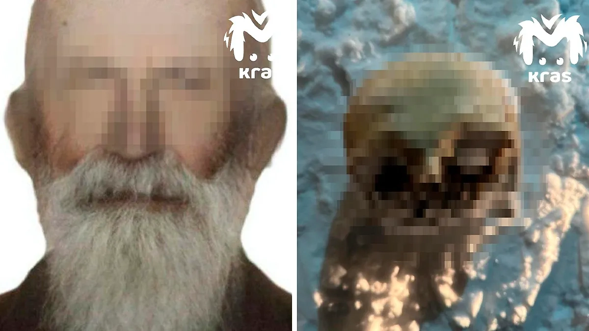 Череп мужчины, который нашла собака под Красноярском. Коллаж © Telegram / Kras Mash