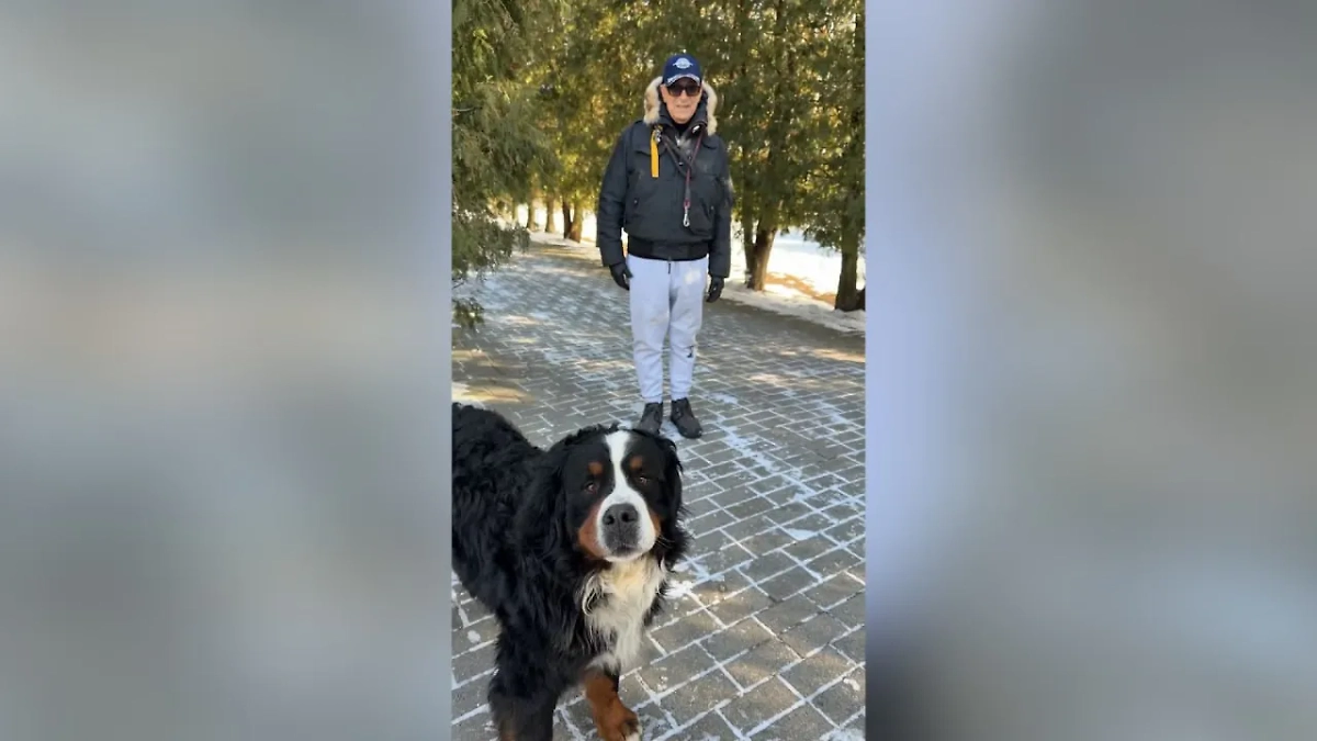 Певец Александр Буйнов с собакой. Обложка © Telegram / Александр Буйнов