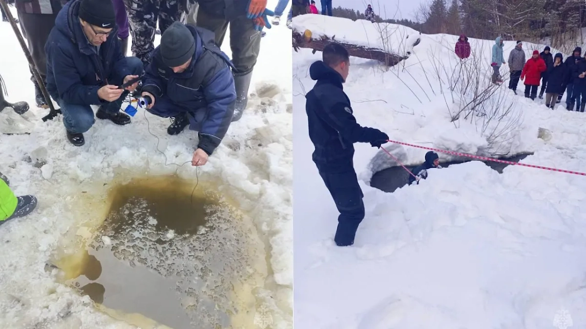 Поиски пропавшего ребёнка. Обложка © Telegram / МЧС Алтайского края