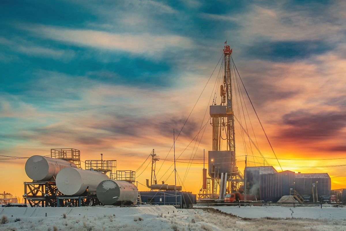 Обложка © Shutterstock / FOTODOM / Vladimir Endovitskiy