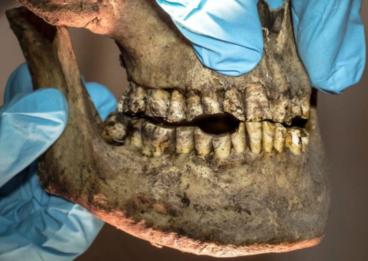 В Норвегии нашли древние могилы китобоев. Фото © niku.no, Лизе Локту/Губернатор Шпицбергена.