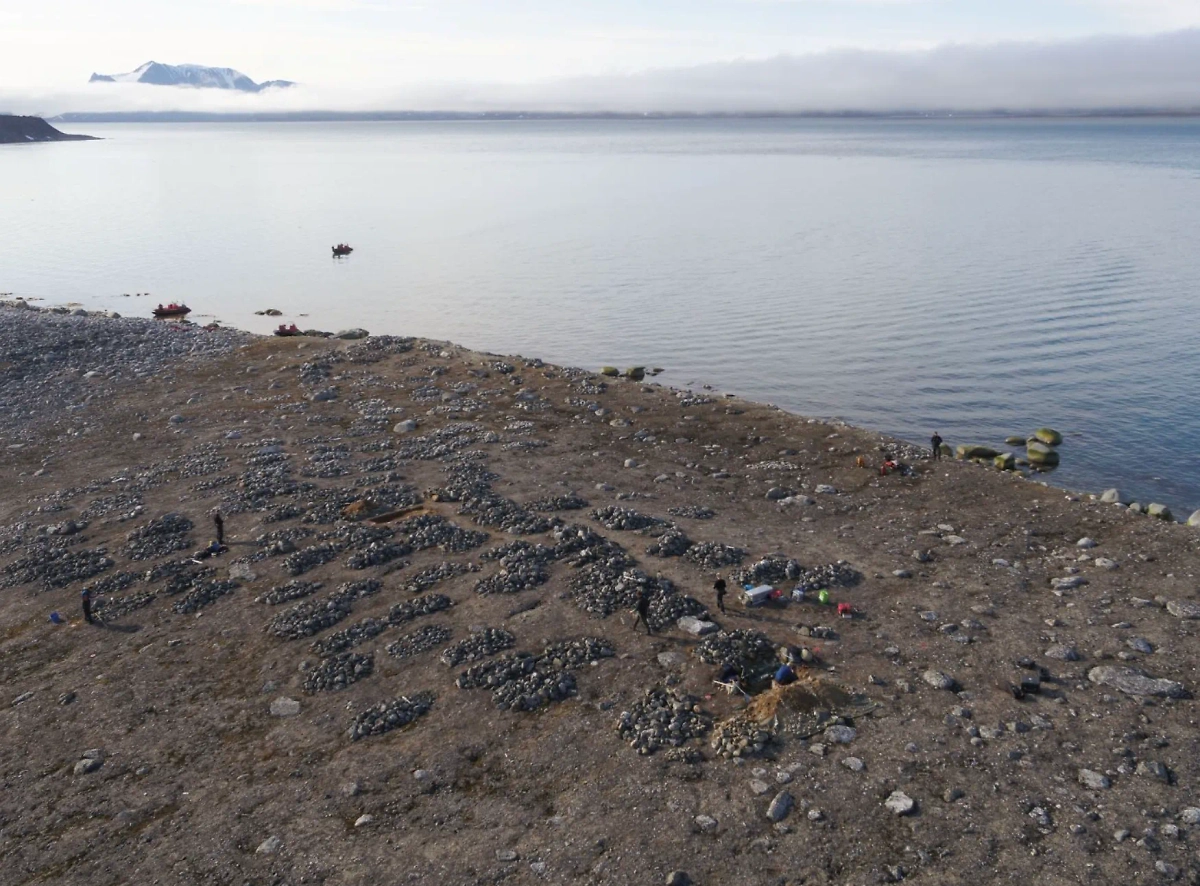 В Норвегии нашли древние могилы китобоев. Фото © niku.no, Лизе Локту/Губернатор Шпицбергена.