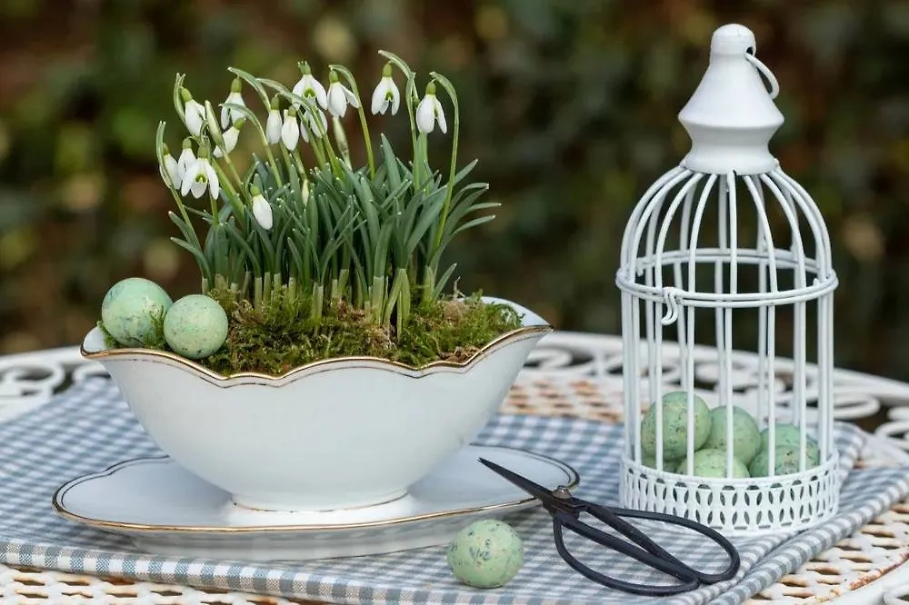 Подснежники хорошо уживаются с анемонами, а весенники — с морозниками. Фото © Shutterstock / FOTODOM / Natalia Greeske