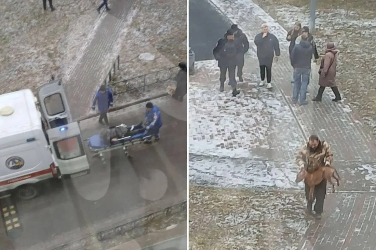 Собаку в итоге пришлось усыпить. Фото © Telegram / «Mash на Мойке»